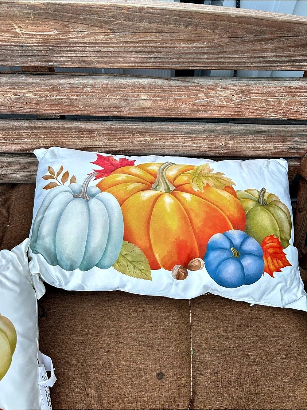 Light-Up Pumpkin Accent Pillow in White & Orange